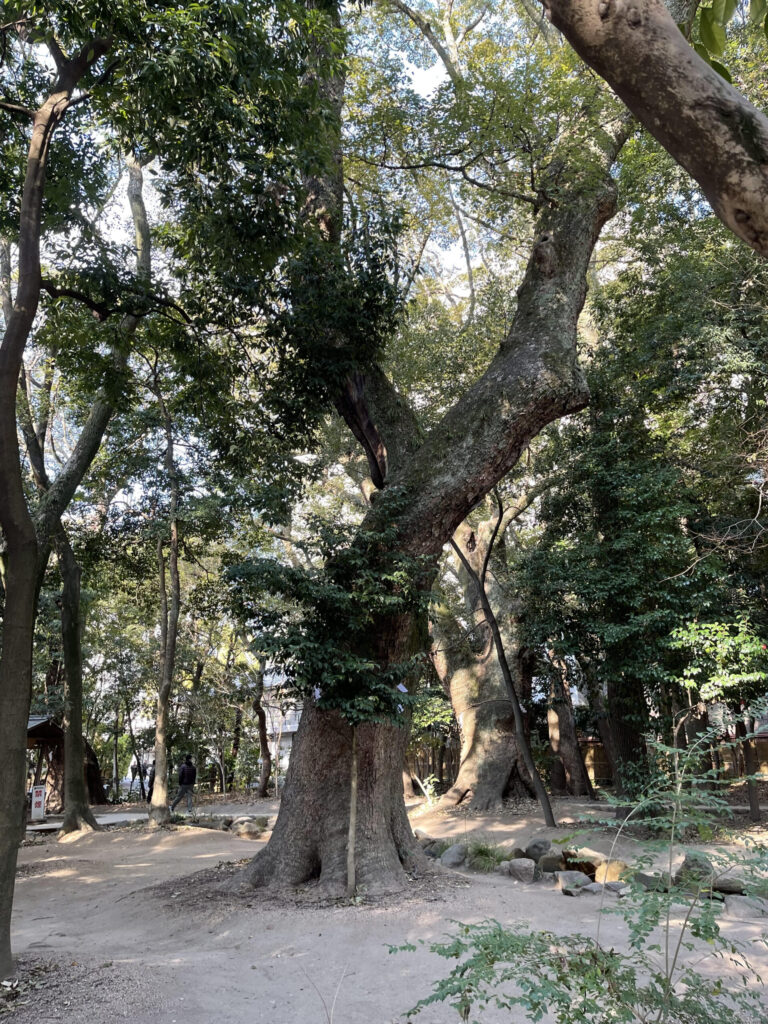 Ikuta no Mori