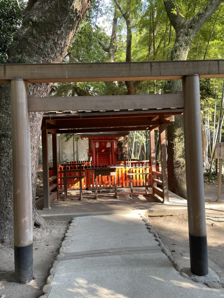 Ikutamorizasha